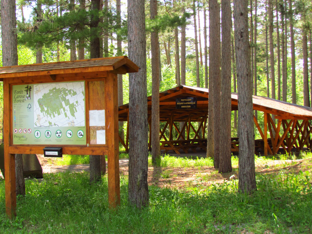 Larose Forest Shelter